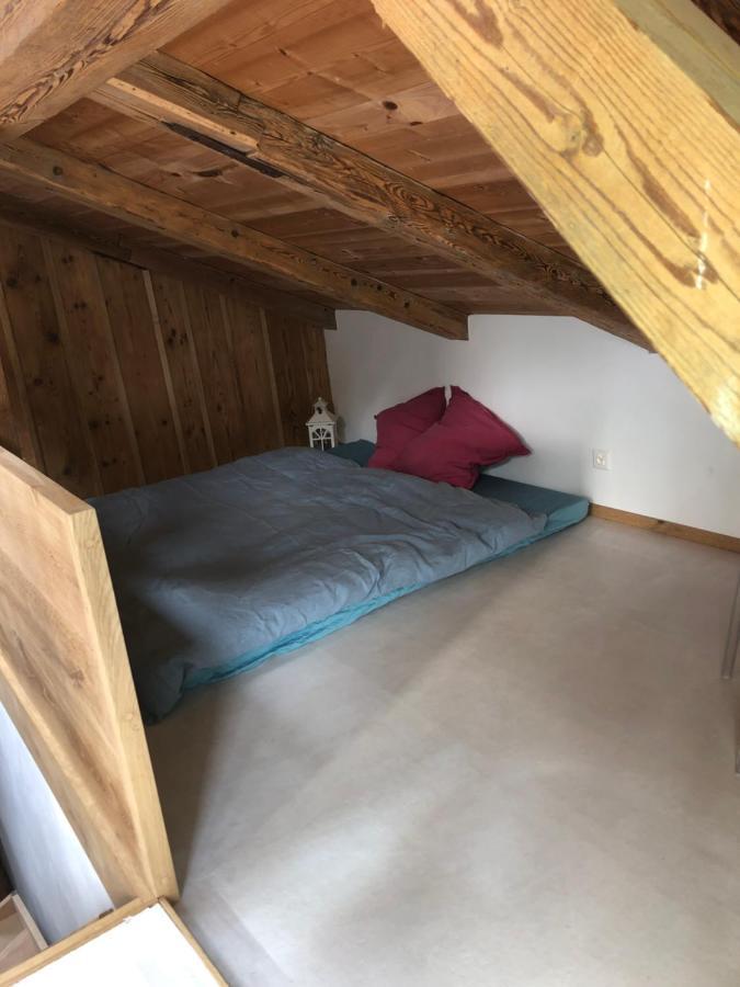 Serenite Et Nature Dans Une Ferme Equestre - Studio Familial Massonnens Exterior foto